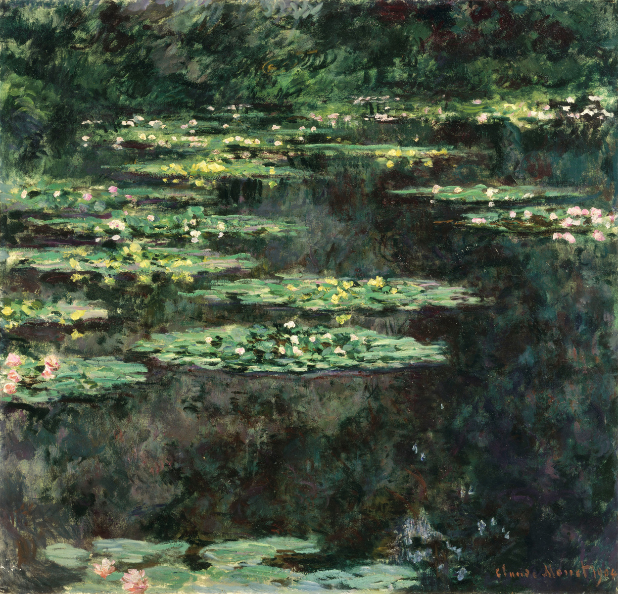 Water Lilies 1904